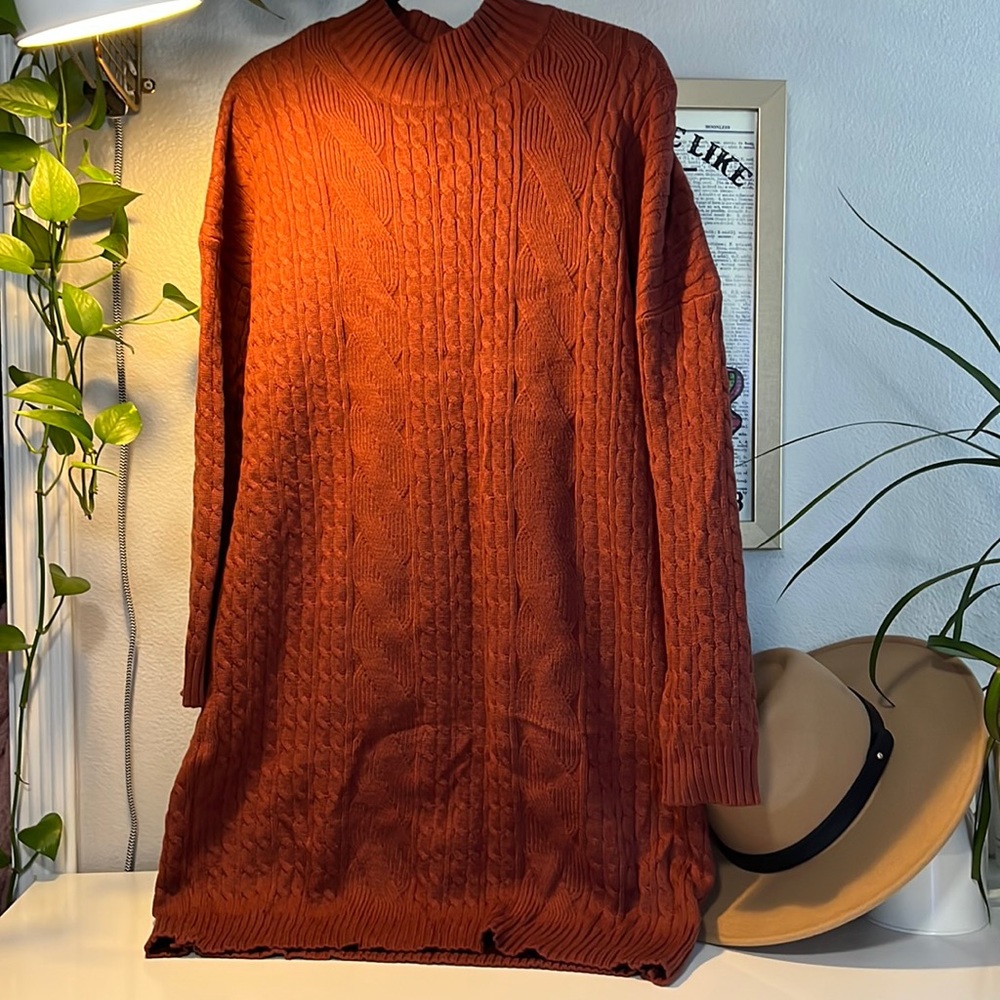 Color: Rusty red, sweater dress 2x, never worn, NWOT